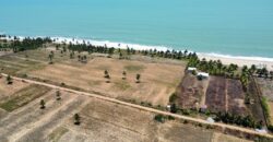 25Acre Beach Land For Sale – Elmina, Ghana
