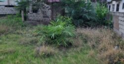 🏗️ UNCOMPLETED BUILDING FOR SALE – STATE HOUSING  A 50 x 100 ft plot with an uncompleted building situated in a State Housing area. This property comes with State Housing documents, making it a solid opportunity for investors or individuals looking to complete a project to their own taste.  💰 Price: GHS 850,000 (Negotiable) 📐 Land Size: 50 x 100 ft 📄 Documentation: State Housing Documents  Ideal for residential development or investment purposes.  📞 Contact Us  📞 Call/WhatsApp: 0257972513 📧 Email: property@billcoteyhomes.com  🌐 Website: billcoteyrealty.com  📲 Download App: Billcotey Realty on iOS & Android 📍 Visit Us: Off Spintex Road, Batsonaa – Opp. Dampong Hospital  Agent: Alex Dev